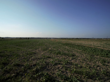 Działka budowlana sprzedam