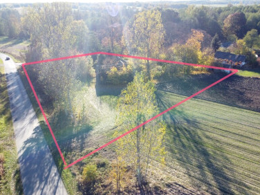 Dom Przyłęk sprzedaż