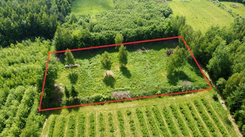 Działka budowlana Kazimierz Dolny sprzedam