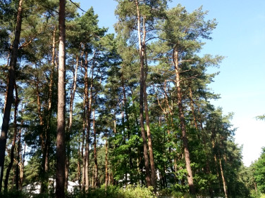 Działka budowlana Magdalenka