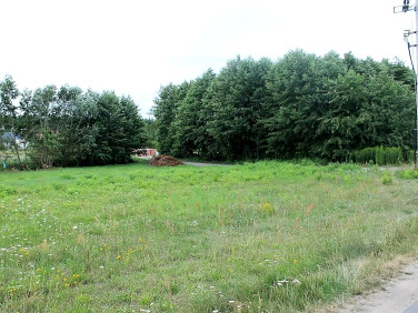 Działka budowlana Września