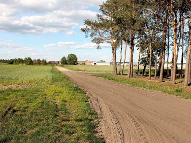 Działka budowlana Kiełkowo