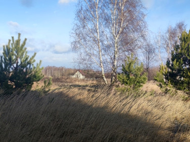 Działka budowlana Borzęcin Mały