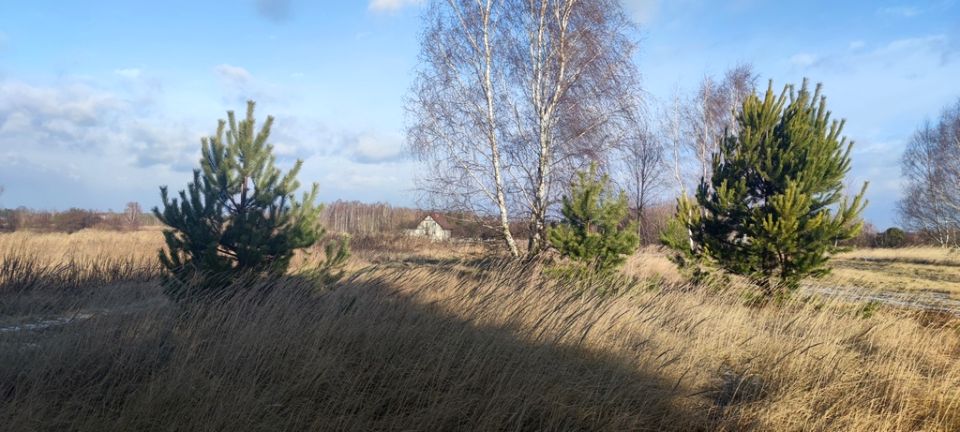 Działka budowlana Borzęcin Mały