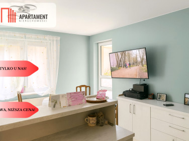 Mieszkanie Rypin sprzedaż