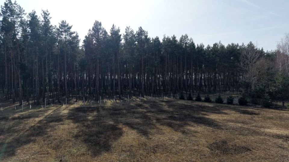 Działka budowlana Murzynowo Leśne