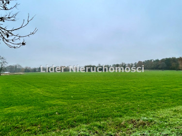 Działka budowlana Charbice Dolne