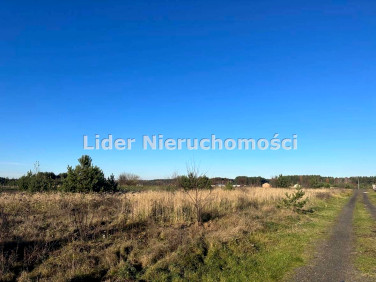 Działka budowlana Spała sprzedam