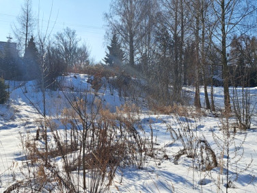 Działka budowlana Dys