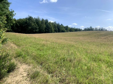 Działka siedliskowa Strzebielino-Osiedle