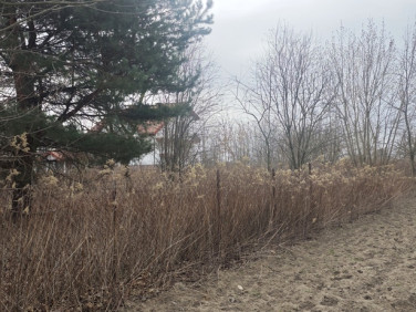 Działka budowlana Latchorzew