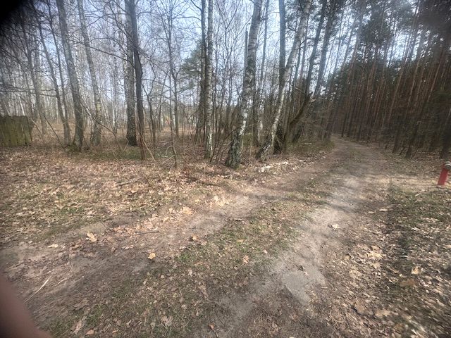 Działka budowlana Królewskie Brzeziny