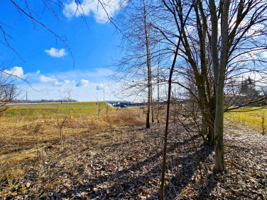 Działka budowlana Zemborzyce Tereszyńskie