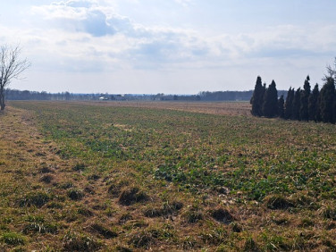 Działka budowlana Radawiec Mały