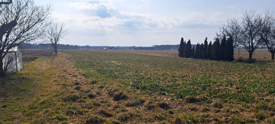 Działka budowlana Radawiec Mały