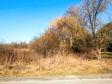 Działka budowlana Turka