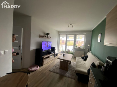 Mieszkanie Bydgoszcz wynajem