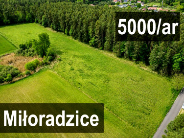 Działka Miłoradzice