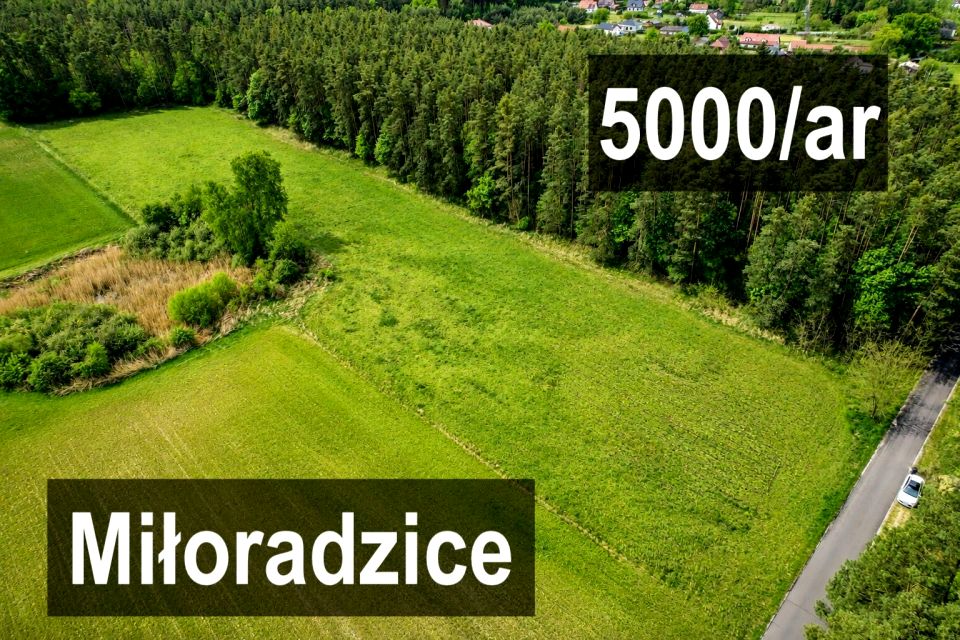 Działka Miłoradzice