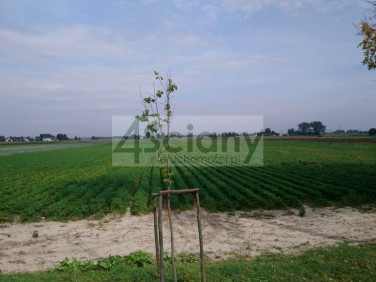 Działka inwestycyjna Płochocin