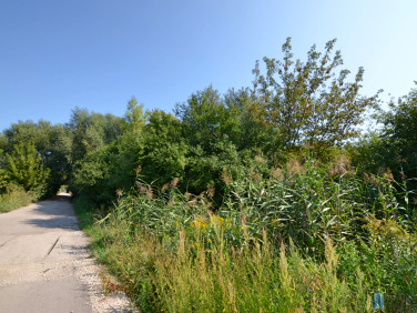 Działka rolna Łomianki