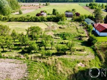 Działka Borowina