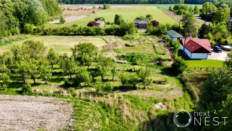 Działka Borowina