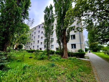 Mieszkanie Łódź sprzedaż
