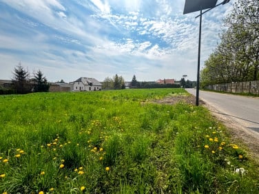 Działka budowlana Grodzisko sprzedam