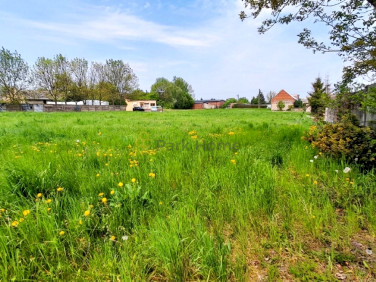 Działka Grodzisko