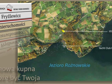 Działka leśna Znamirowice