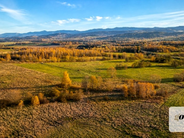 Działka Grudza