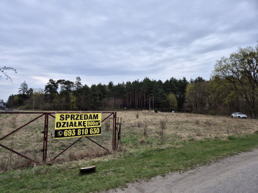 Działka przy lesie