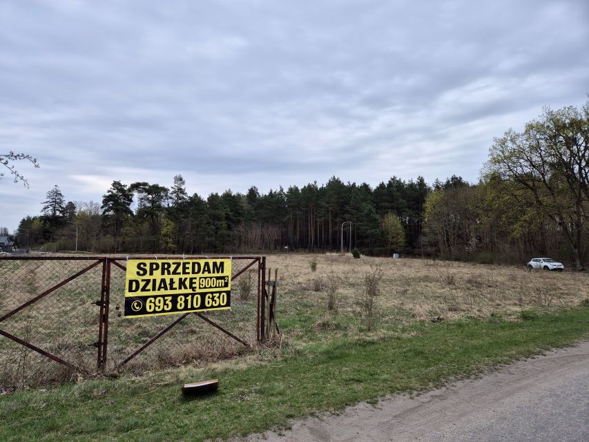 Działka przy lesie