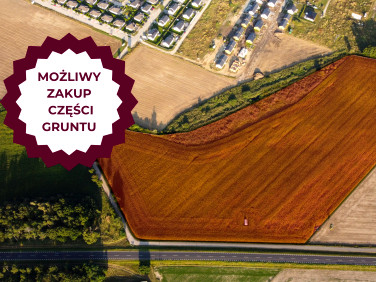 Działka Zbrudzewo
