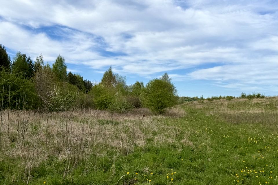 Zdjęcie 3