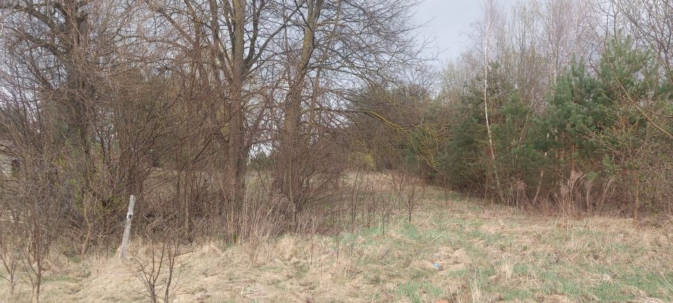 Działka siedliskowa Milejczyce