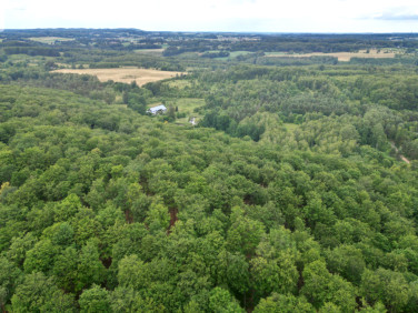 Działka inwestycyjna Trzepowo