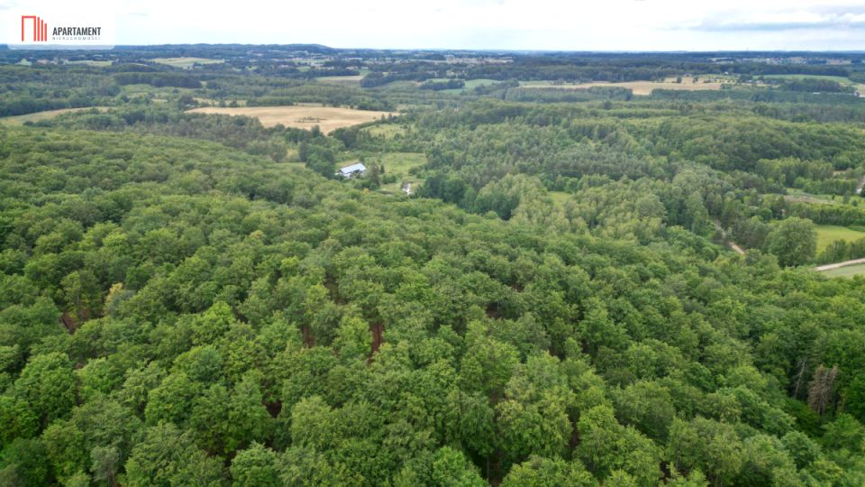Działka inwestycyjna Trzepowo