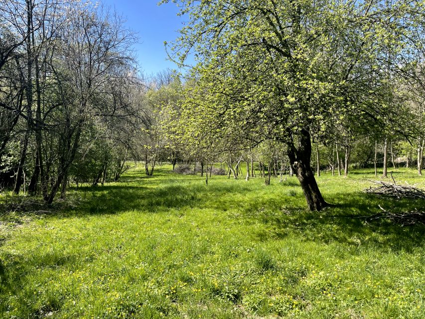 Działka budowlana Żywiec