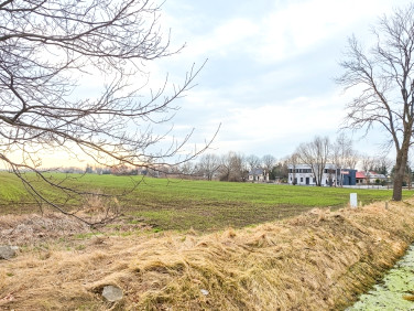 Działka rolna Malbork