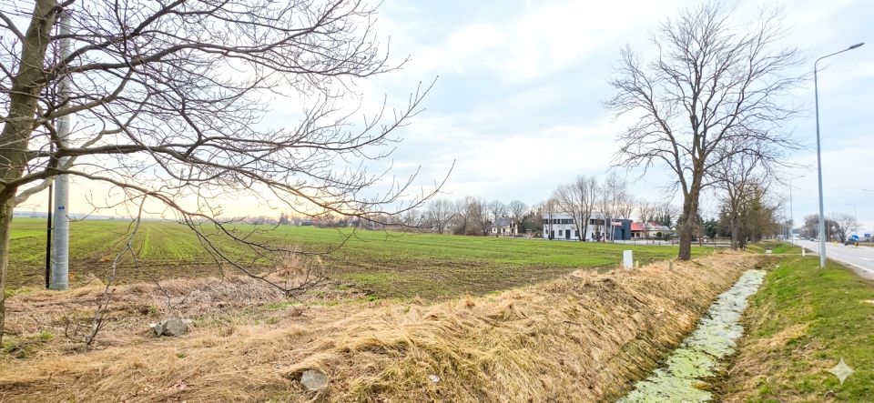 Działka rolna Malbork