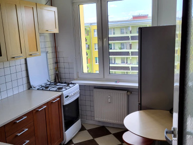 Mieszkanie przy lesie