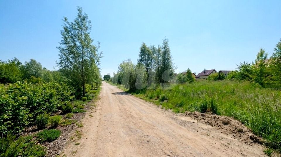 Działka Dołuje