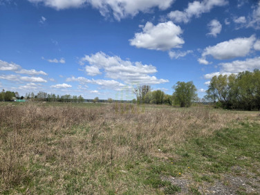 Działka inna sprzedam