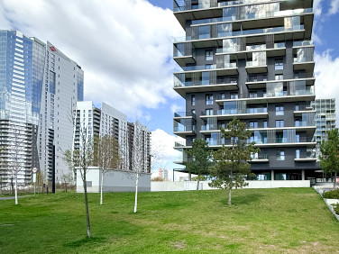 Mieszkanie Katowice