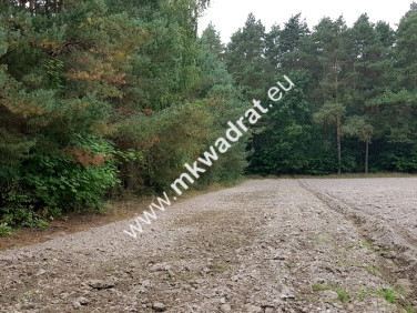 Działka Budy Wolskie