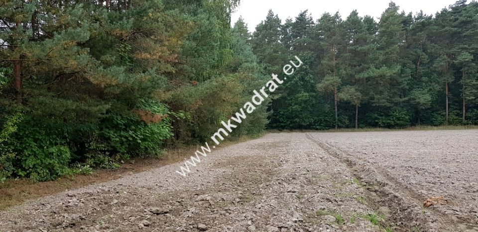 Działka Budy Wolskie
