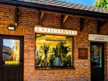 Lokal Sępólno Krajeńskie