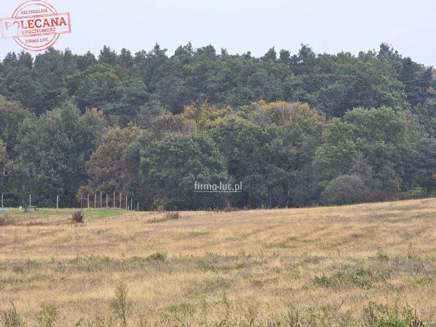 Działka budowlana Kłodawa sprzedam